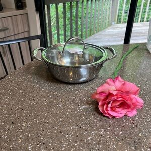 Princess House stailess steel pot Cookware (small 2.5 qrts.)